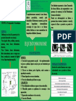 Mapa Mental Equistossomose