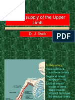 Blood Supply of The Upper Limb