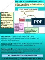 MHC y Presentacion de Antigenos