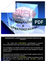 Neuroanatomia e Aprendizagem-Ultimo