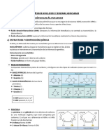 Wuolah Free Tema 2 BM Resumen Acidos Nucleicos y Enzimas Asociadas Gulag Free