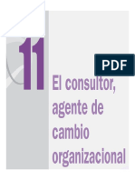 12.el Consultor Agente de Cambio