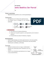 Mejoramiento Genético 3er Parcial