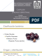 CAPULIN (Prunus Serotina)