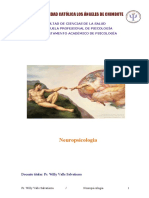 Libro Copilado de Neuropsicologia