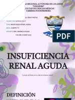 Insuficiencia Renal Aguda