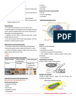 Eukaryotic Cells and Microorganisms