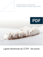 Lignes Directrices Du CCPA