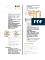 Resumo Fisiologia Renal - Aula 06