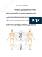 Resumo - Ciências Naturais - O Sistema Esquelético