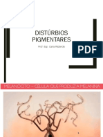 DistÃºrbios Pigmentaresss.