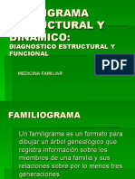 Familiogramaestructuralydinamico 100718130252 Phpapp01