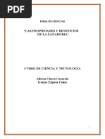 Las Propiedades Y Beneficios de La Zanahoria