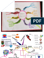 Modelo para Mapa Mental para Proyecto 5to Año