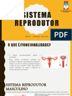 Sistema Reprodutor