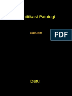 6 & 7. Identifikasi Patologi