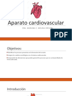 Aparato Cardiovascular