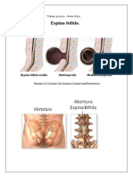 Trabajo de Investigación