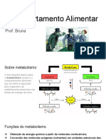 Comportamento Alimentar - Aula1