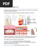 Resumo Perio P1