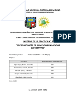 Informe N°9 M.A.