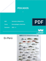 12 Pescados - N.Q.M