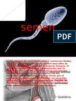 Semen 2