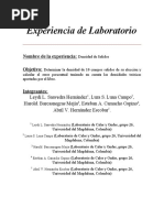 Experiencia de Laboratorio 3