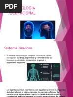 Neurologia 123ocupacional