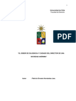 Deber de Diligencia y Cuidado Del Director de Una S.A.