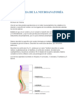 Historia de La Neuroanatomía