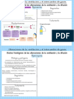 Alteraciones de La Ventilación y El Intercambio de Gases