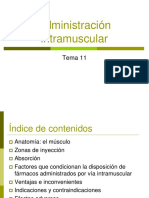 Tema 11 Via Intramuscular OCW REVISADO