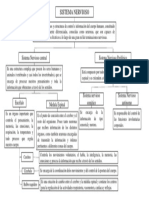 Mapa Conceptual Del Sistema Nervioso.