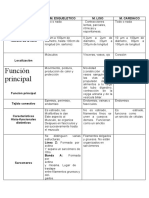 Cuadro Comparativo de Los Musculos Terminado