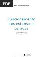 Relatório BG - Funcionamento Dos Estomas e Osmose