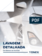 Apostila Lavagem Detalhada 2022