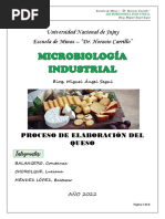 INFORME DE MICROBIOLOGÍA INDUSTRIAL - Quesos