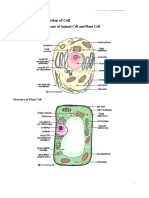 Bio F4 Bab 2