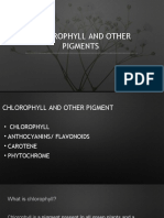 Chlorophyll and Other Pigments