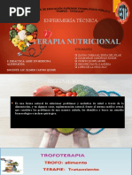 Terapia Nutricional Hecho-1