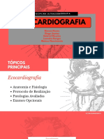 Apresentação Ecocardiografia