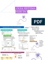 Introduccion A La Neurofisiologia