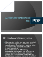 Autopurificacion Del Agua