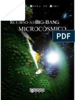 Retorno Ao Big-Bang Microcósmico