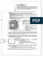 Guía de Estudio Organelos 8º