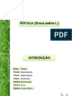 Apresentação RUCULA