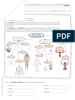 Et03451401 04c 01 4a Organos Aparatos bg3