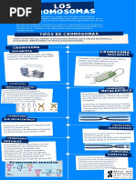 Cromosomas Informe Ultimo