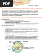 Nucleo Interfasico + Conceptos Generales - Iwaniloff